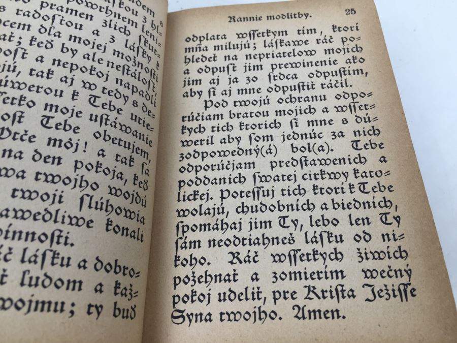 Old Leather Bound Foreign Bible [Photo 11]