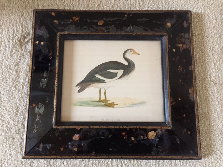 Vintage Set Of 4 Framed Beverley R Morris Bird Hand Colored Prints [Photo 2]