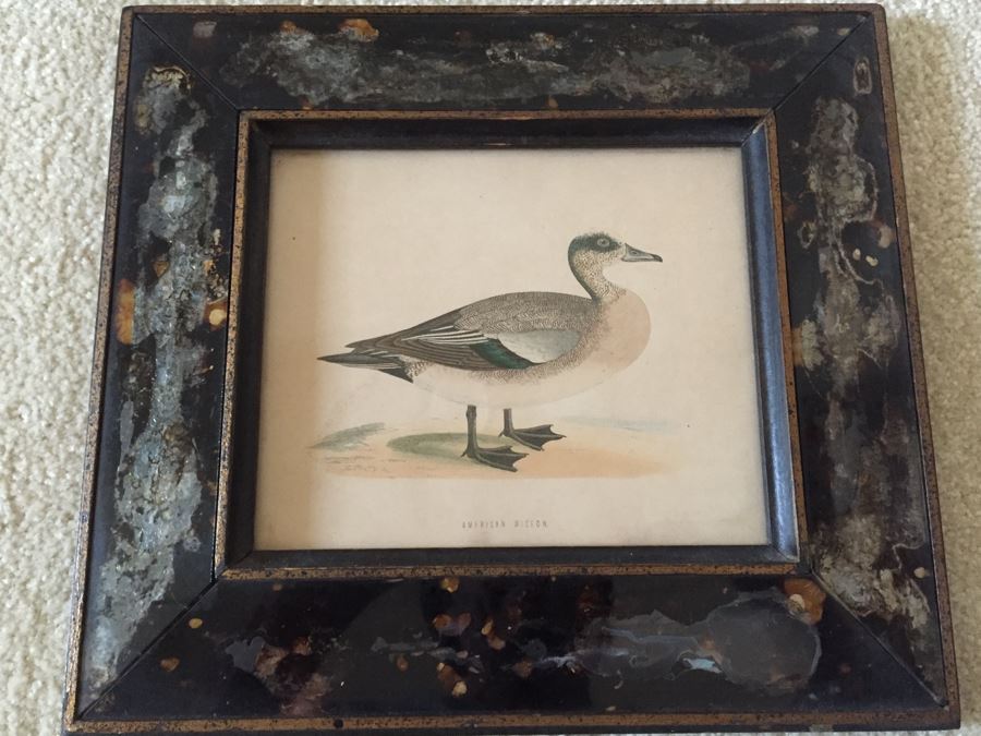 Vintage Set Of 4 Framed Beverley R Morris Bird Hand Colored Prints [Photo 22]