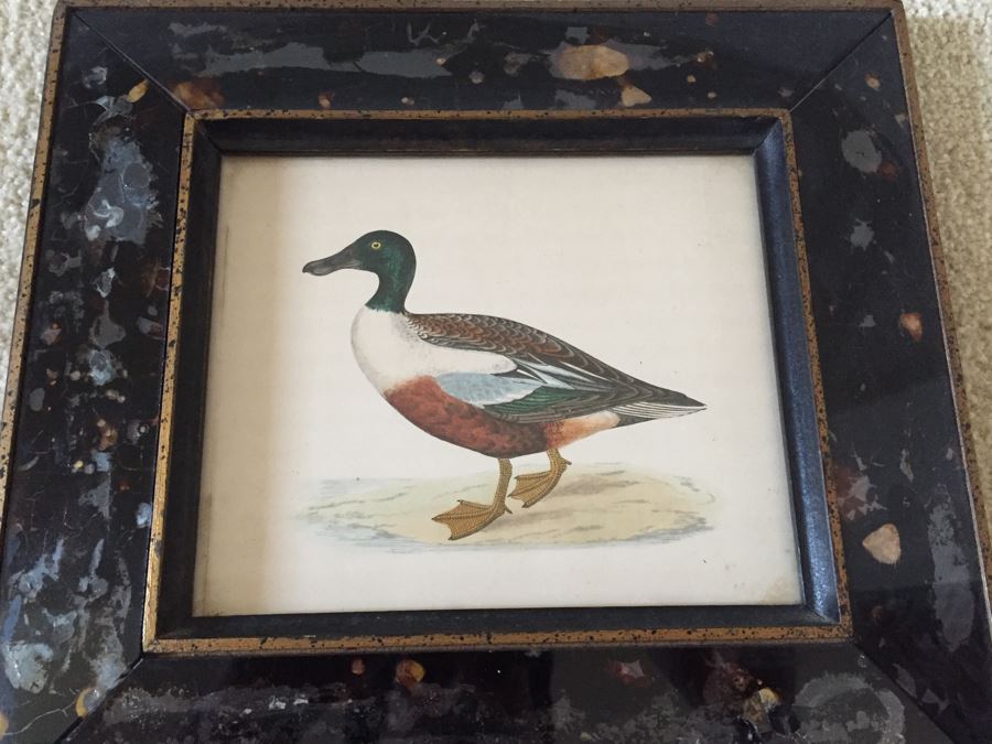Vintage Set Of 4 Framed Beverley R Morris Bird Hand Colored Prints [Photo 21]