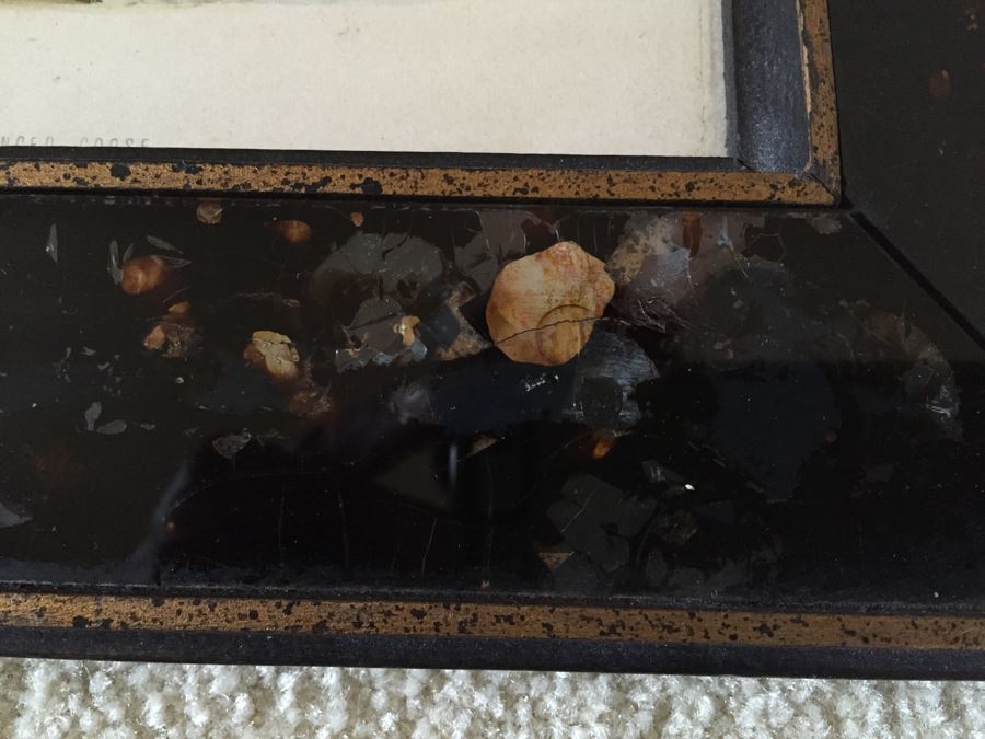 Vintage Set Of 4 Framed Beverley R Morris Bird Hand Colored Prints [Photo 4]