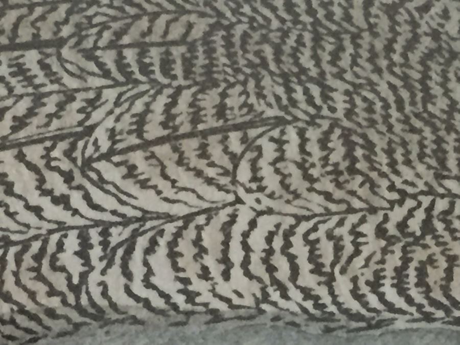 Vintage Set Of 4 Framed Beverley R Morris Bird Hand Colored Prints [Photo 28]