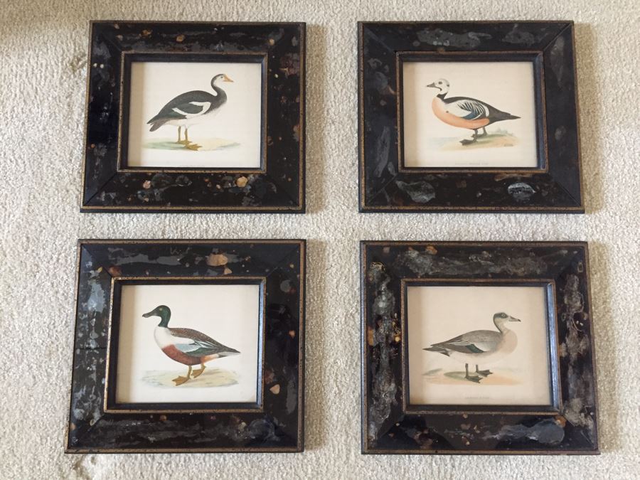 Vintage Set Of 4 Framed Beverley R Morris Bird Hand Colored Prints [Photo 1]