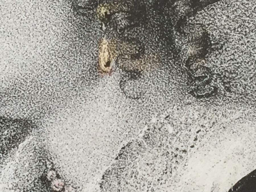 Antique Pair Of Stunning Black Forest Hand Carved Wooden Frames With Reverse Painted Glass Engravings [Photo 19]