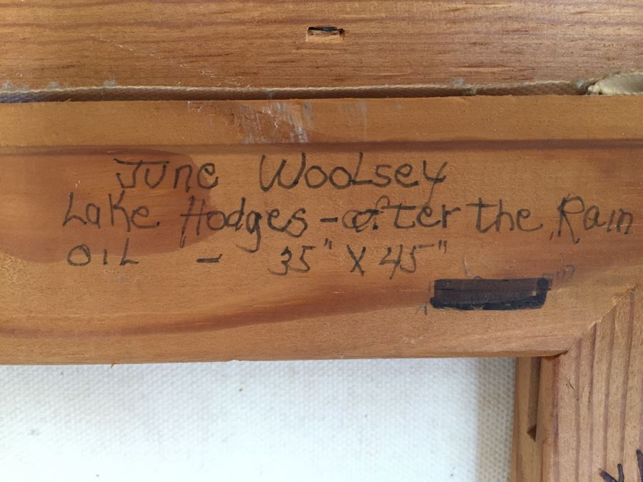 Impressive Plein Air Original Oil Painting By June Woolsey Titled 'Lake Hodges - After The Rain' Local 35' x 45' [Photo 20]