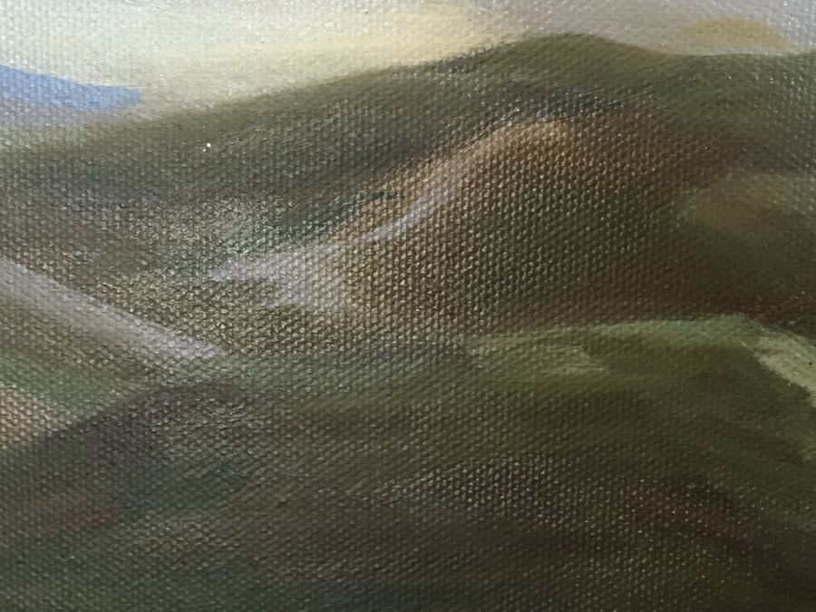 Impressive Plein Air Original Oil Painting By June Woolsey Titled 'Lake Hodges - After The Rain' Local 35' x 45' [Photo 14]