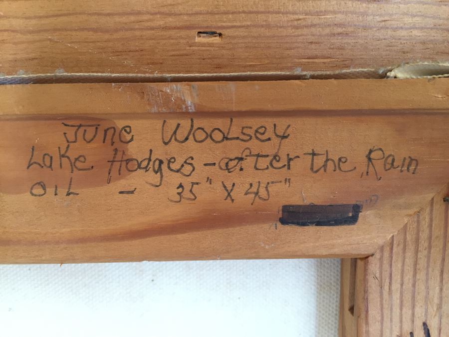 Impressive Plein Air Original Oil Painting By June Woolsey Titled 'Lake Hodges - After The Rain' Local 35' x 45' [Photo 19]