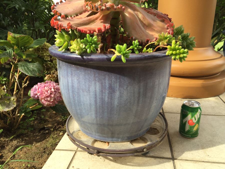 Large Outdoor Pot With Succulents [Photo 2]
