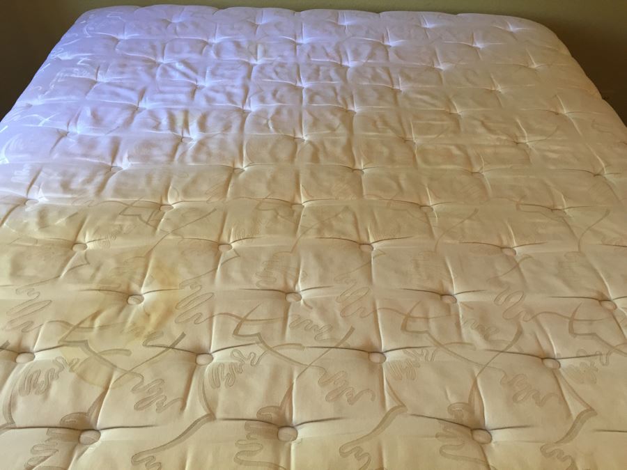 King Size Conforma Back Supporter Mattress, Box Springs And Metal Bed Frame [Photo 8]