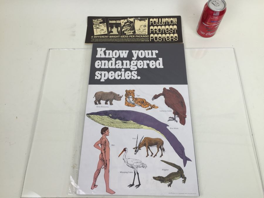 Large Pollution Protest Posters (4) Posters 'The Sky Is Falling' 'Know Your Endangered Species' New Old Stock Rickie Tickie Vintage 1970