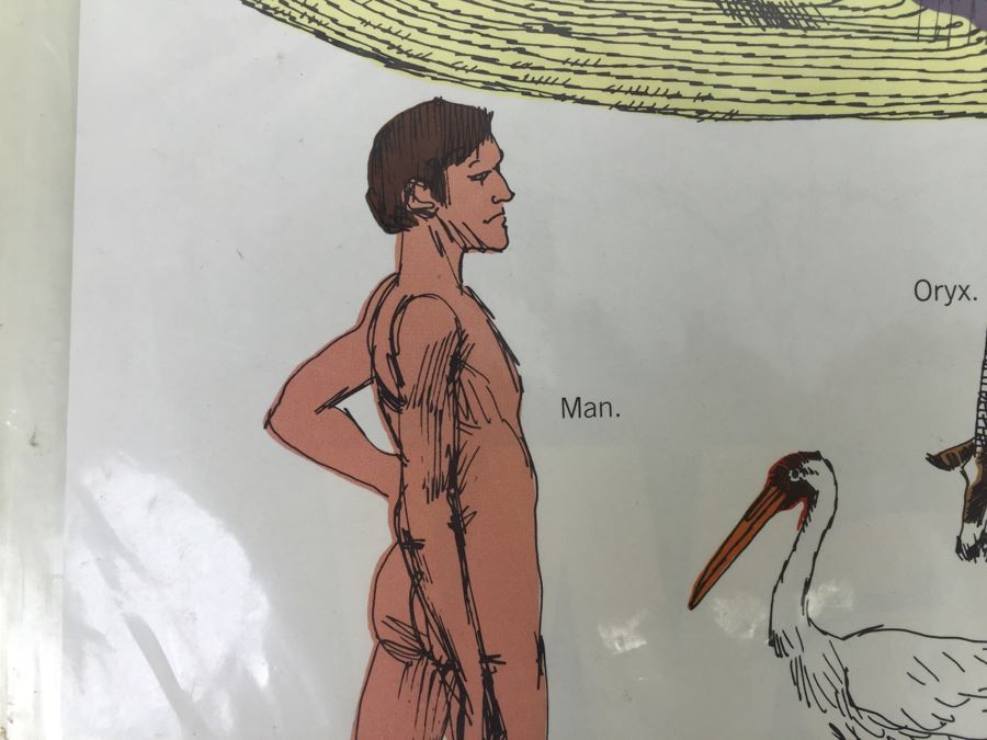 Large Pollution Protest Posters (4) Posters 'The Sky Is Falling' 'Know Your Endangered Species' New Old Stock Rickie Tickie Vintage 1970 [Photo 6]