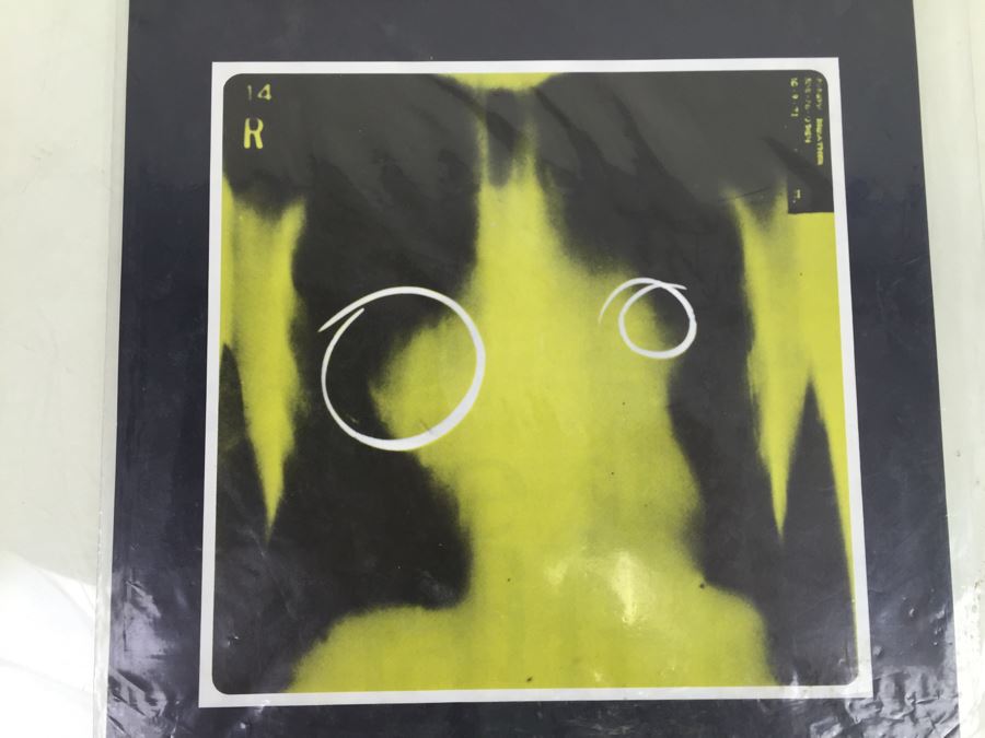 Large Pollution Protest Posters (4) Posters 'The Sky Is Falling' 'Know Your Endangered Species' New Old Stock Rickie Tickie Vintage 1970 [Photo 9]