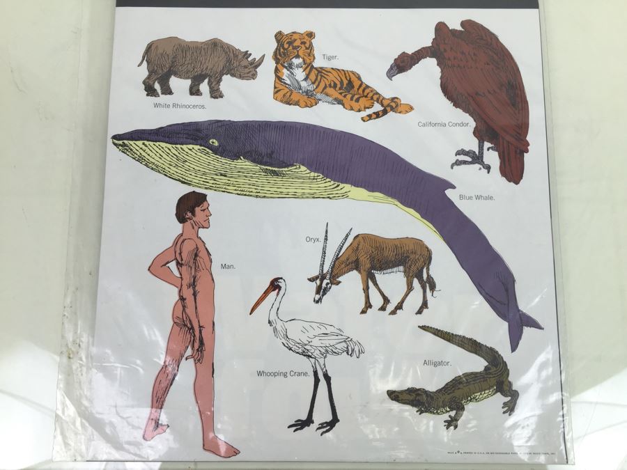 Large Pollution Protest Posters (4) Posters 'The Sky Is Falling' 'Know Your Endangered Species' New Old Stock Rickie Tickie Vintage 1970 [Photo 5]