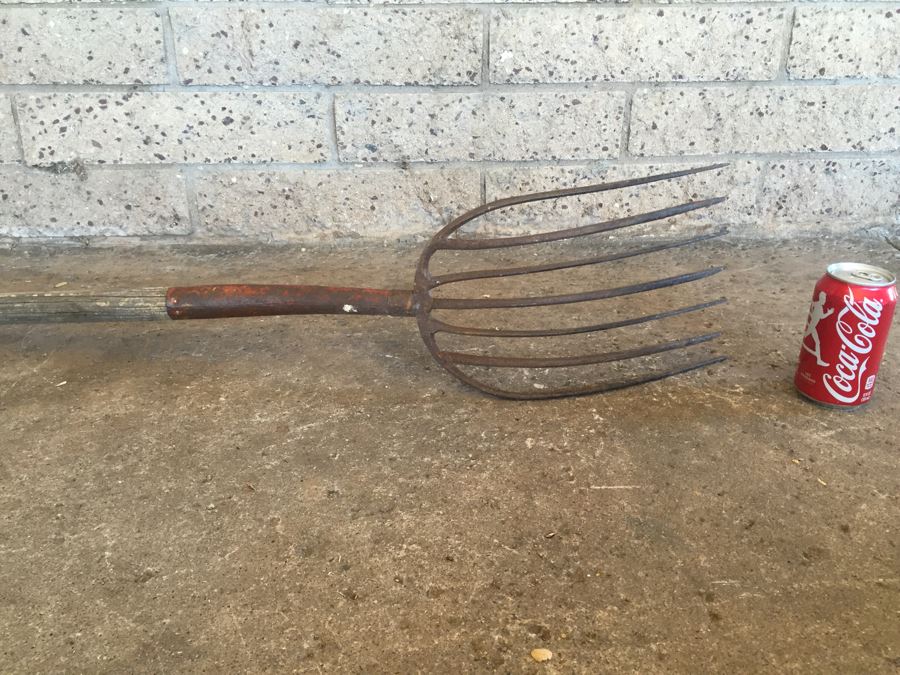 Old Pitchfork [Photo 10]