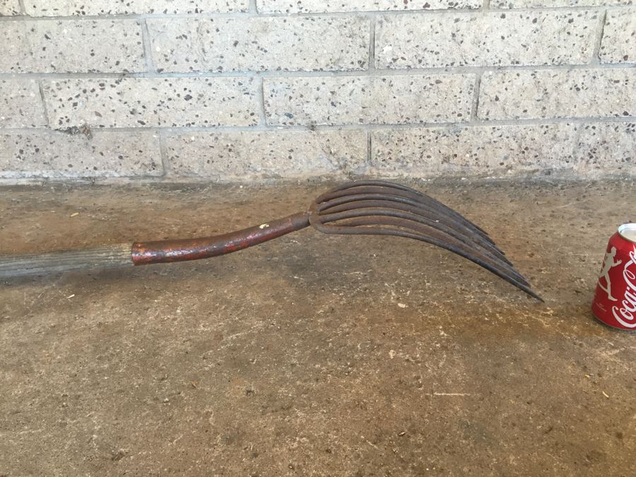 Old Pitchfork [Photo 9]