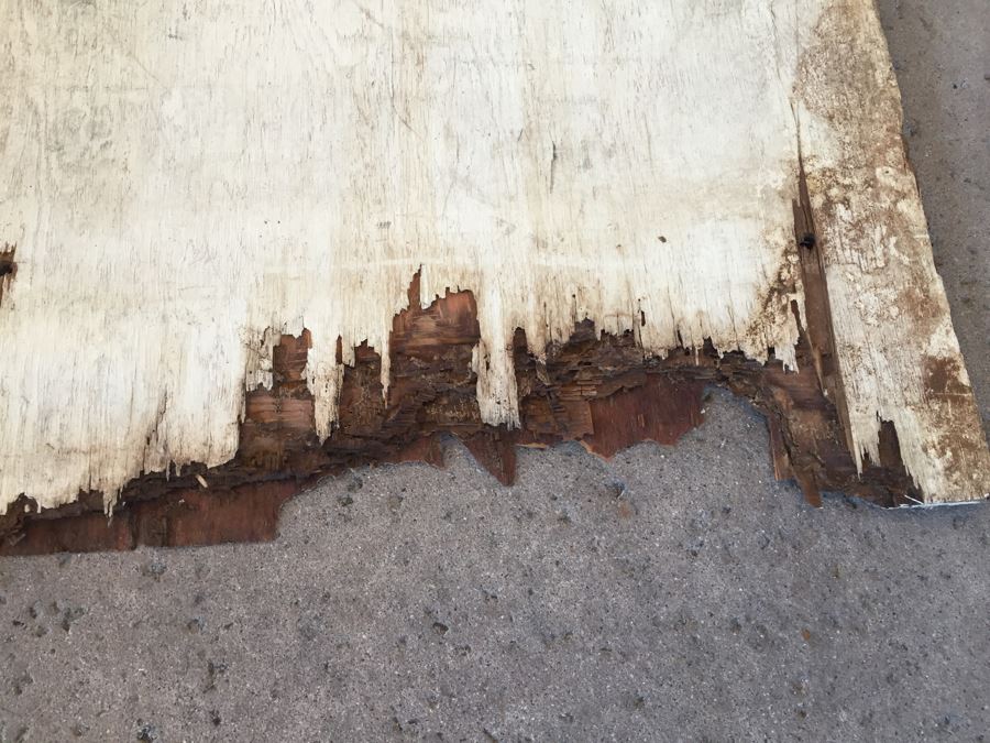 Old Hand Painted Wooden Sign 'J & G Antique & Treasures' Black And White [Photo 15]