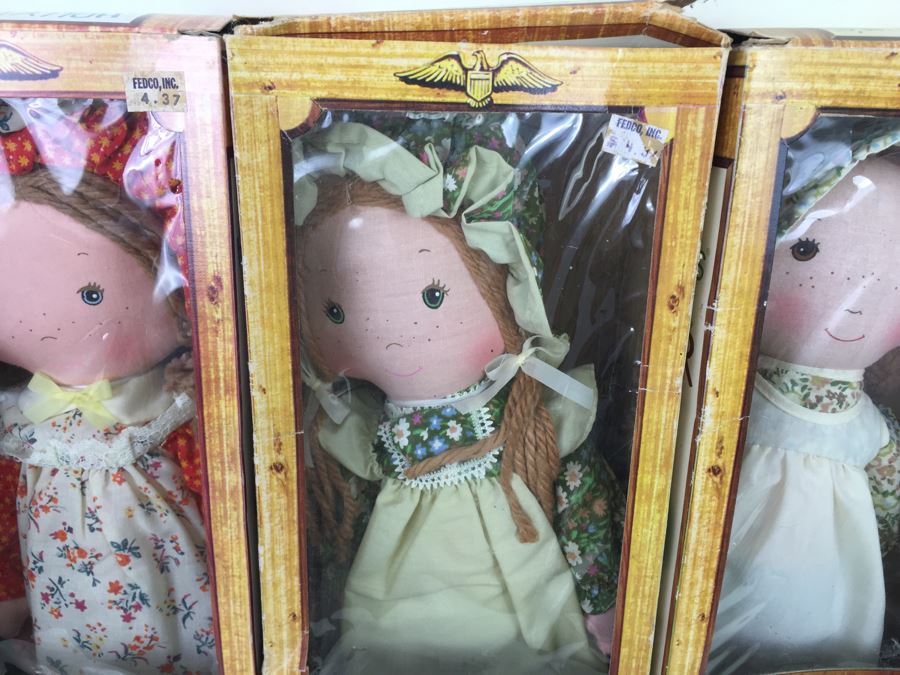Holly Hobbie's Friend And Brother Rag Dolls In Boxes Knickerbocker Heather, Amy, Carrie And Robby Hobbie Vintage 1974 [Photo 7]