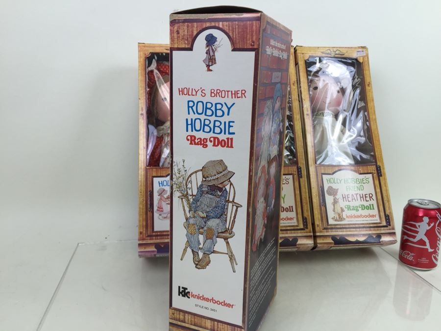 Holly Hobbie's Friend And Brother Rag Dolls In Boxes Knickerbocker Heather, Amy, Carrie And Robby Hobbie Vintage 1974 [Photo 13]