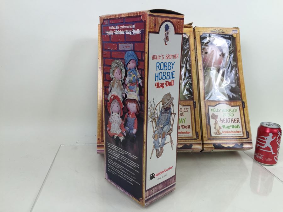Holly Hobbie's Friend And Brother Rag Dolls In Boxes Knickerbocker Heather, Amy, Carrie And Robby Hobbie Vintage 1974 [Photo 11]