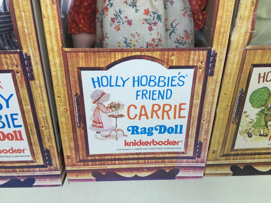 Holly Hobbie's Friend And Brother Rag Dolls In Boxes Knickerbocker Heather, Amy, Carrie And Robby Hobbie Vintage 1974 [Photo 6]