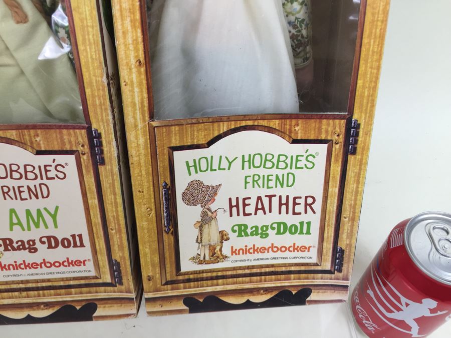 Holly Hobbie's Friend And Brother Rag Dolls In Boxes Knickerbocker Heather, Amy, Carrie And Robby Hobbie Vintage 1974 [Photo 10]