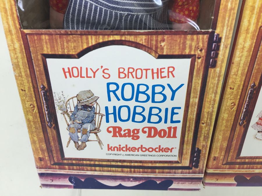 Holly Hobbie's Friend And Brother Rag Dolls In Boxes Knickerbocker Heather, Amy, Carrie And Robby Hobbie Vintage 1974 [Photo 3]