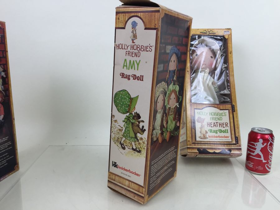 Holly Hobbie's Friend And Brother Rag Dolls In Boxes Knickerbocker Heather, Amy, Carrie And Robby Hobbie Vintage 1974 [Photo 16]