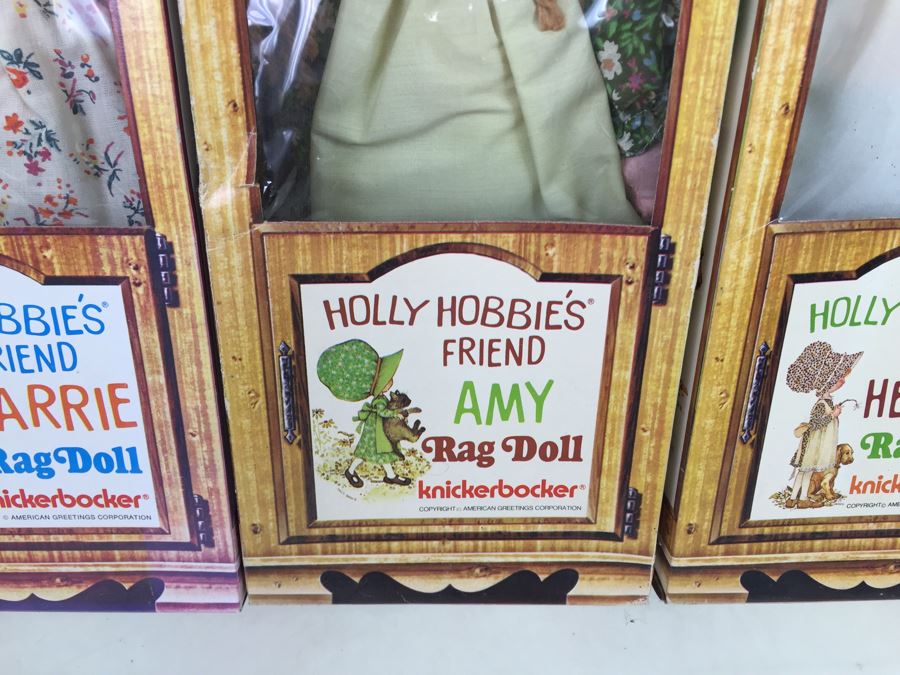 Holly Hobbie's Friend And Brother Rag Dolls In Boxes Knickerbocker Heather, Amy, Carrie And Robby Hobbie Vintage 1974 [Photo 8]