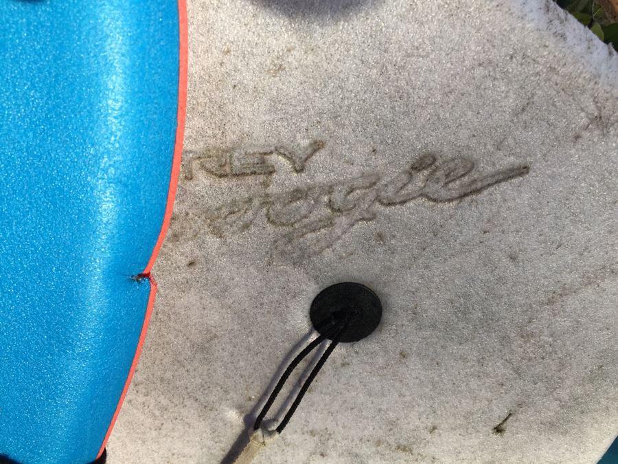 Collection Of Boogie Boards + Skim Board + Santa Barbara Skateboard [Photo 9]