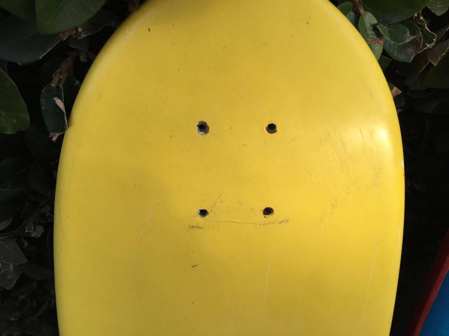 Collection Of Boogie Boards + Skim Board + Santa Barbara Skateboard [Photo 11]