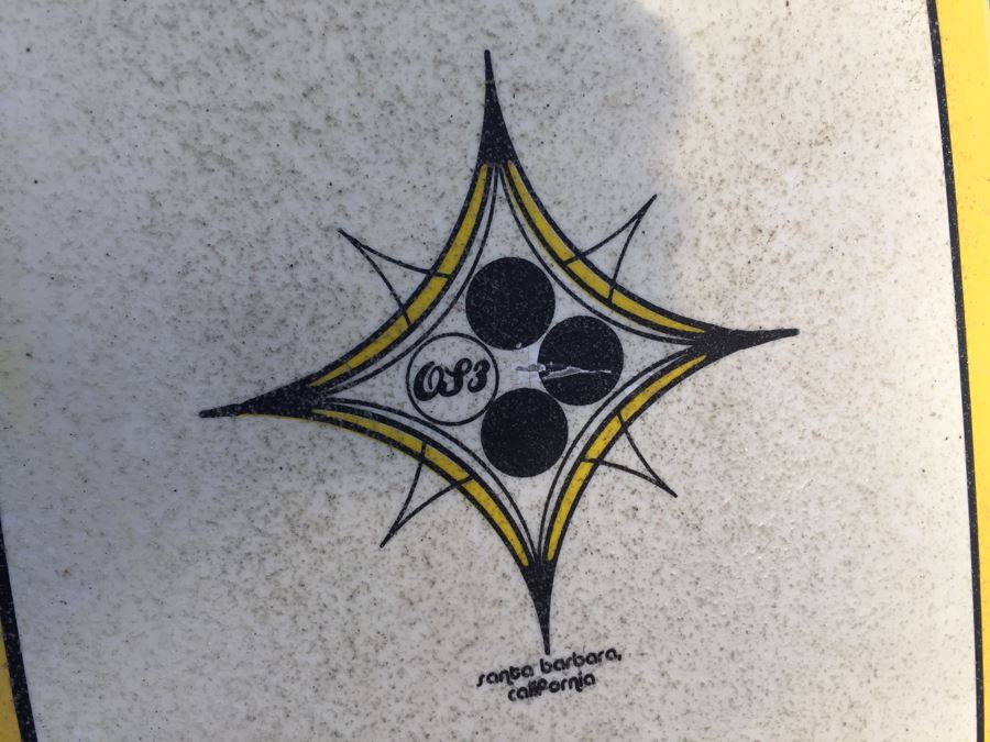 Collection Of Boogie Boards + Skim Board + Santa Barbara Skateboard [Photo 5]