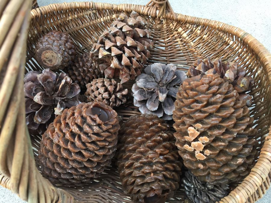 Pair Of Woven Baskets Plus Pine Cone Candles [Photo 5]
