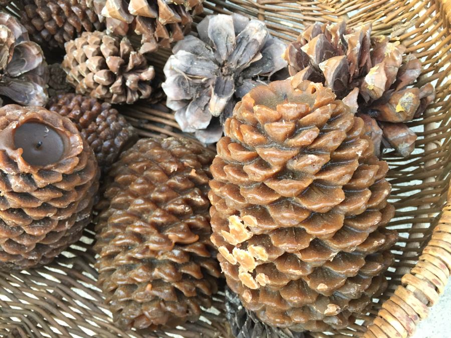 Pair Of Woven Baskets Plus Pine Cone Candles [Photo 7]