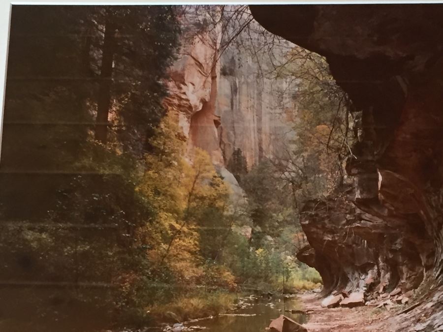 Framed Dave Tate Limited Edition 6/250 Signed Photograph [Photo 8]