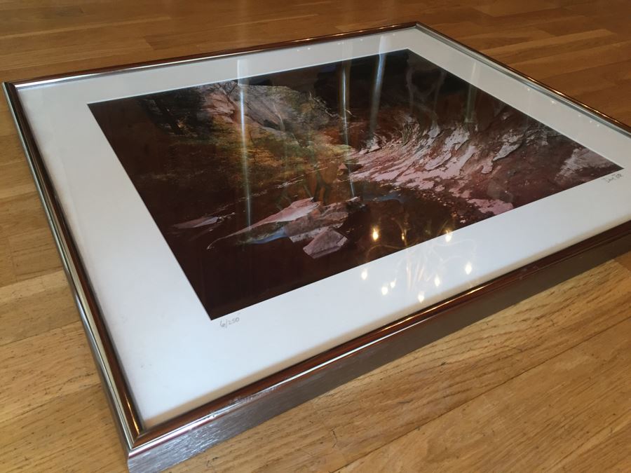 Framed Dave Tate Limited Edition 6/250 Signed Photograph [Photo 11]