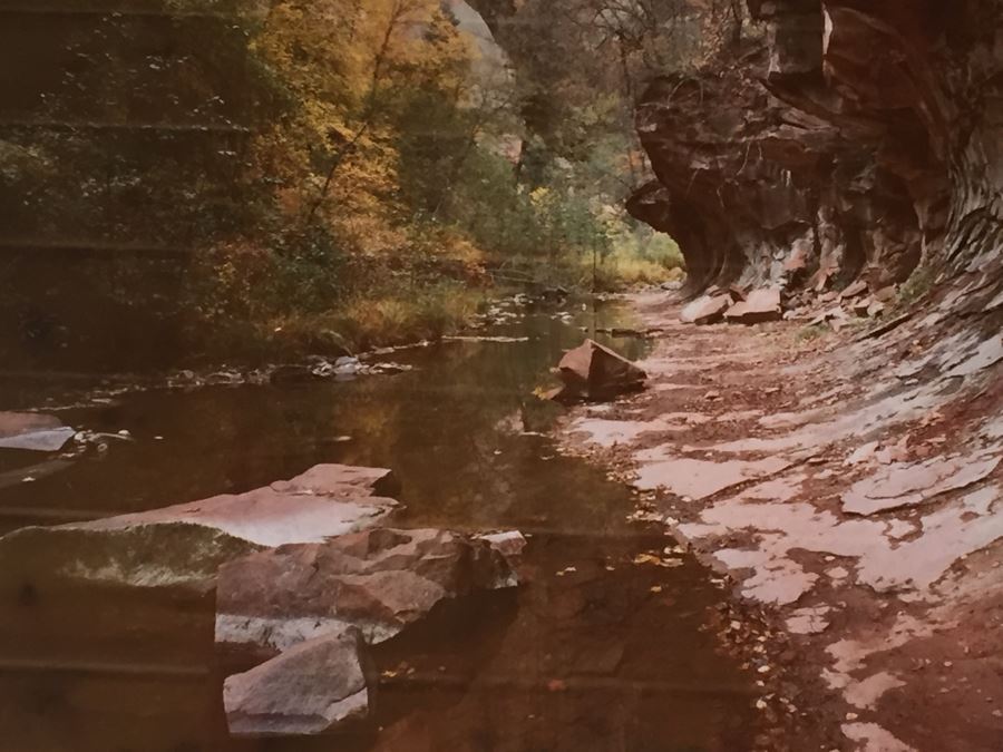 Framed Dave Tate Limited Edition 6/250 Signed Photograph [Photo 7]