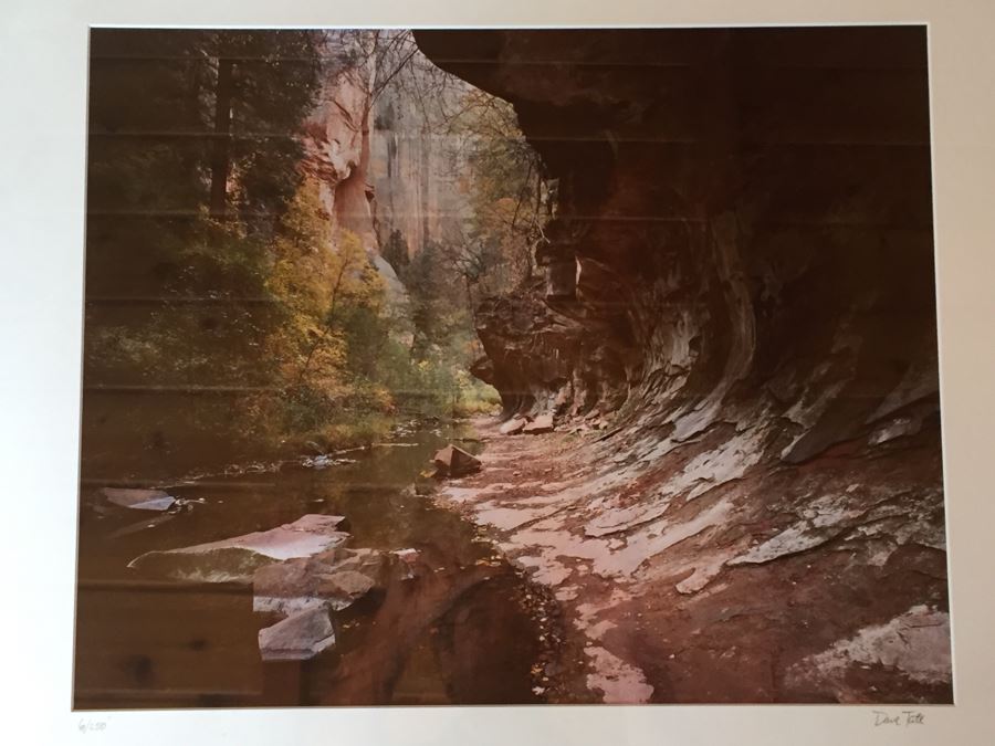 Framed Dave Tate Limited Edition 6/250 Signed Photograph [Photo 4]