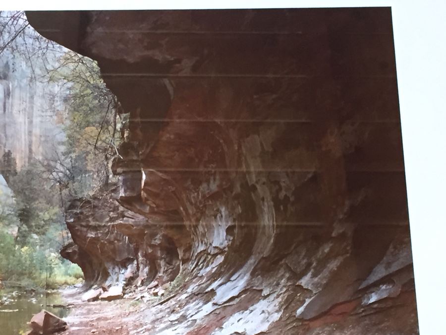 Framed Dave Tate Limited Edition 6/250 Signed Photograph [Photo 9]