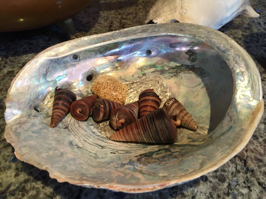 Home Decor Lot With Nice Copper Footed Bowl Filled With Shells, Abalone Shell, Copper Plate And Wooden Bowl [Photo 5]