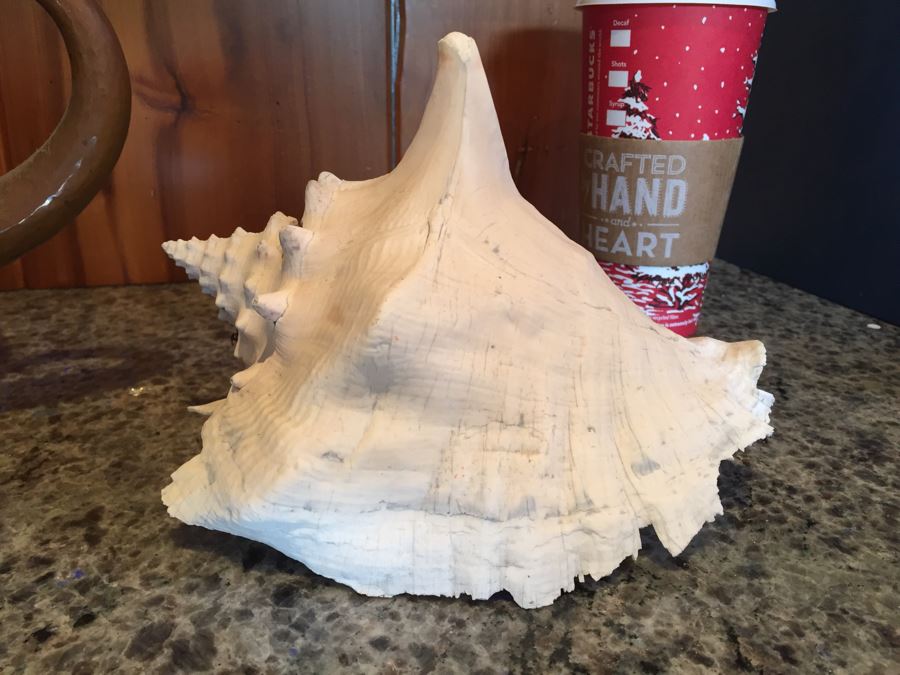 Home Decor Lot With Nice Copper Footed Bowl Filled With Shells, Abalone Shell, Copper Plate And Wooden Bowl [Photo 11]