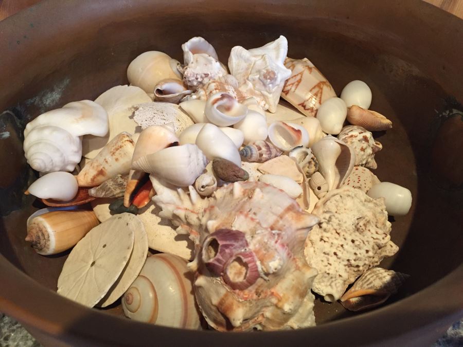 Home Decor Lot With Nice Copper Footed Bowl Filled With Shells, Abalone Shell, Copper Plate And Wooden Bowl [Photo 15]