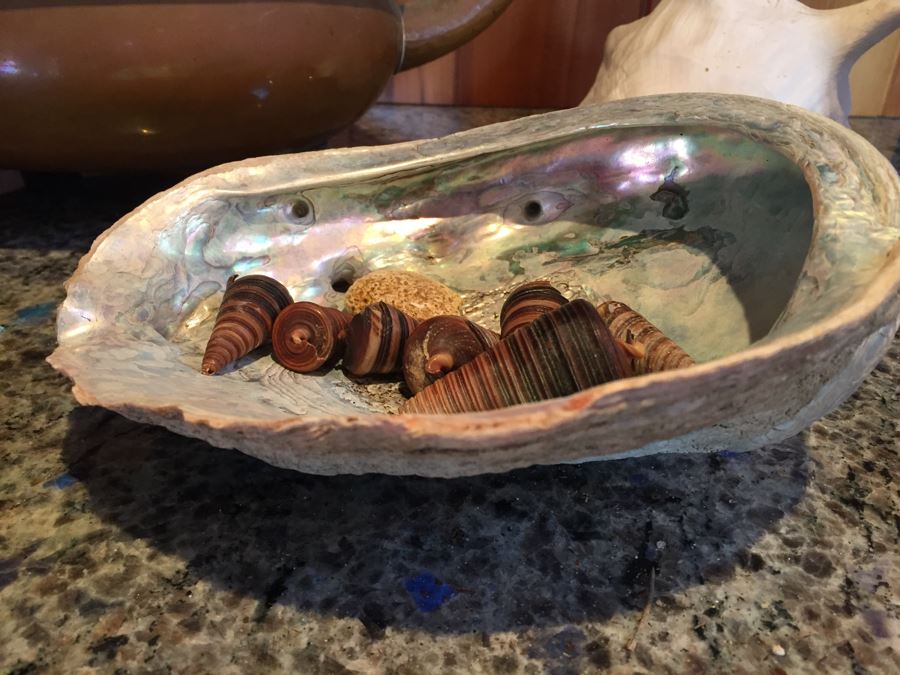 Home Decor Lot With Nice Copper Footed Bowl Filled With Shells, Abalone Shell, Copper Plate And Wooden Bowl [Photo 6]