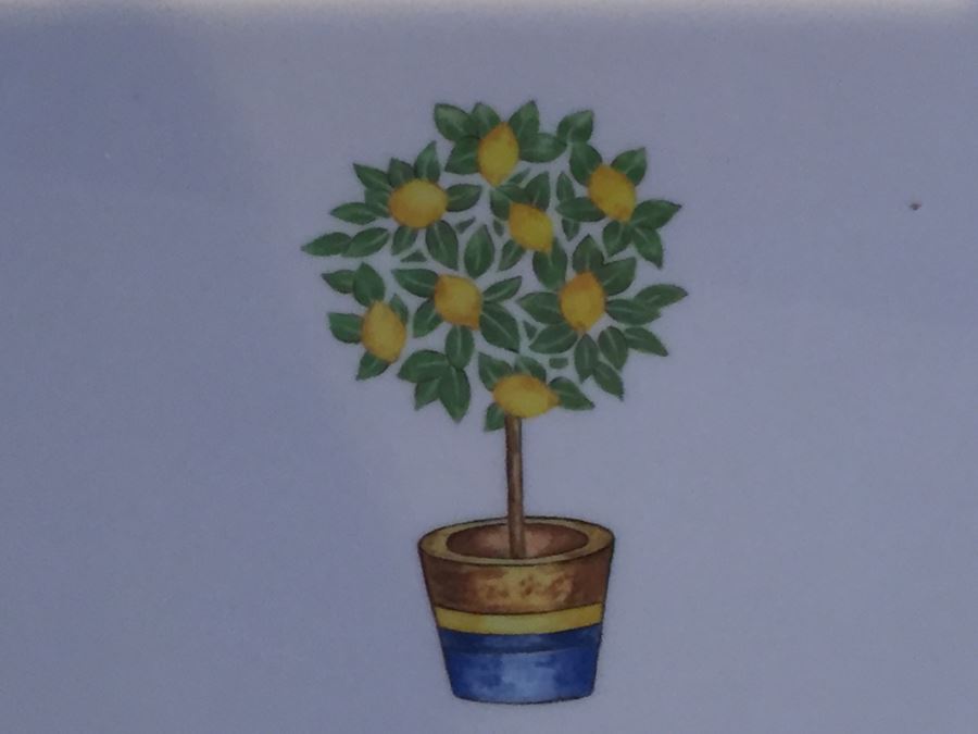 Villeroy & Boch Plates And Royal Doulton Plastic Plates [Photo 6]