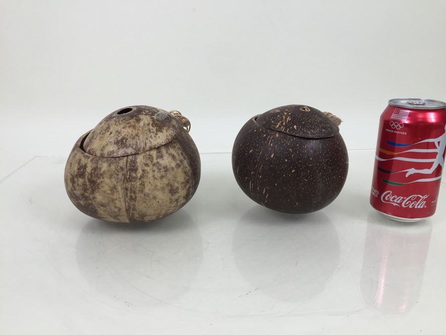 Real Coconut Cups Lot [Photo 2]