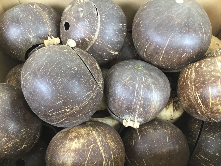 Real Coconut Cups Lot [Photo 4]