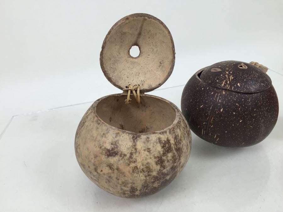 Real Coconut Cups Lot [Photo 3]