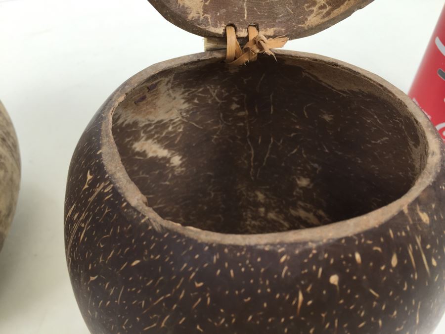 Real Coconut Cups Lot [Photo 10]