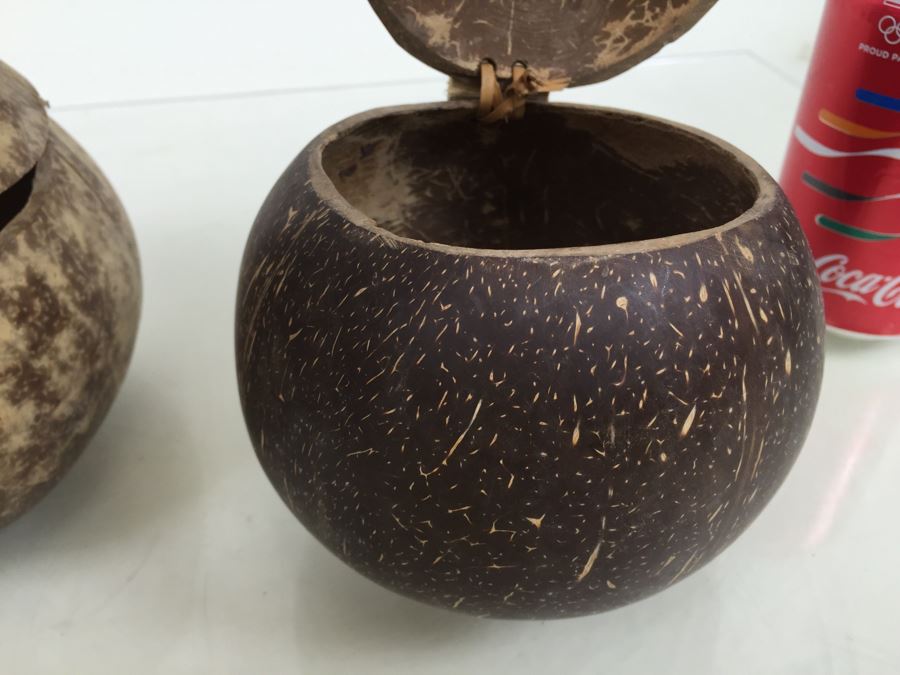 Real Coconut Cups Lot [Photo 9]