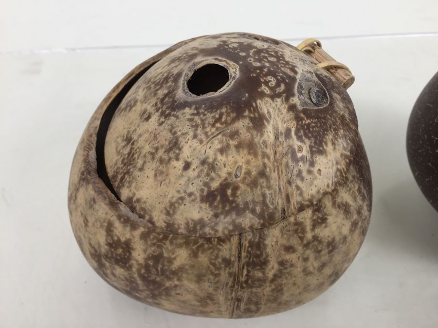 Real Coconut Cups Lot [Photo 6]