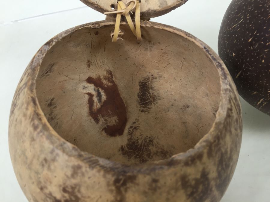 Real Coconut Cups Lot [Photo 8]